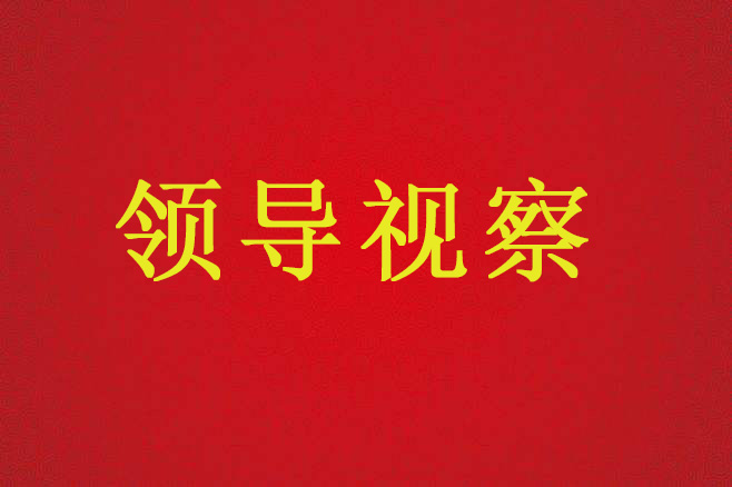 陜西省國土資源廳廳長盧勇一行來不動產(chǎn)登記服務(wù)中心調(diào)研、指導(dǎo)工作