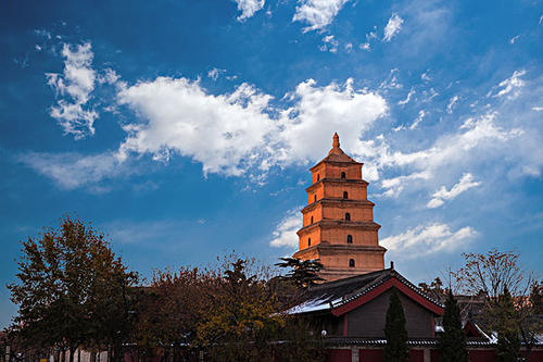 賞曲江美景，體驗中國年